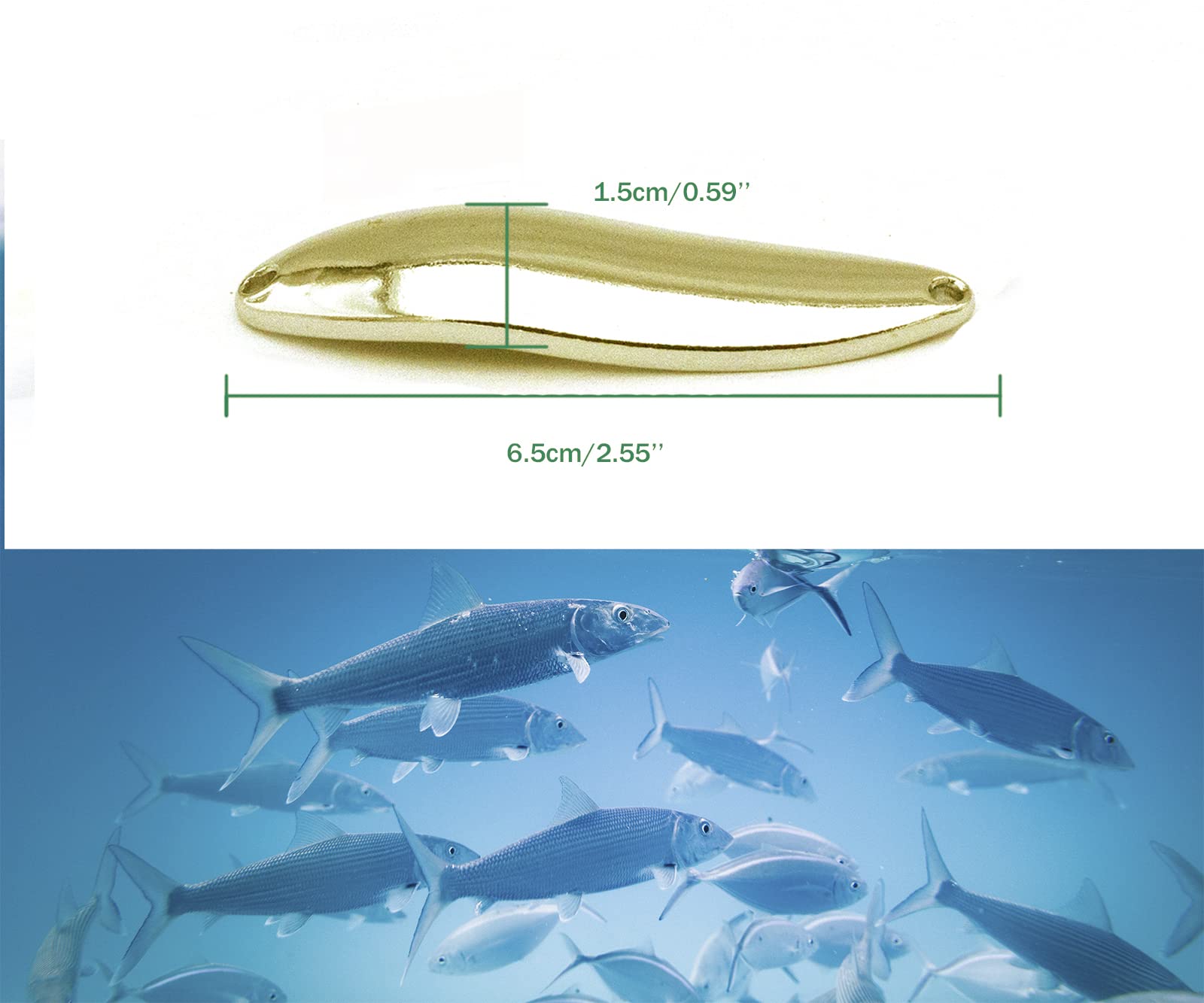 Amazon.co.jp: 釣りルアースプーン、50個入り、22g/3gのシルバー